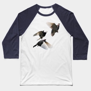 Rock Doves in Flight Baseball T-Shirt